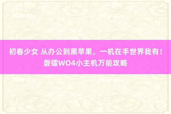 初春少女 从办公到黑苹果，一机在手世界我有！磐镭WO4小主机万能攻略