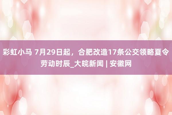 彩虹小马 7月29日起，合肥改造17条公交领略夏令劳动时辰_大皖新闻 | 安徽网