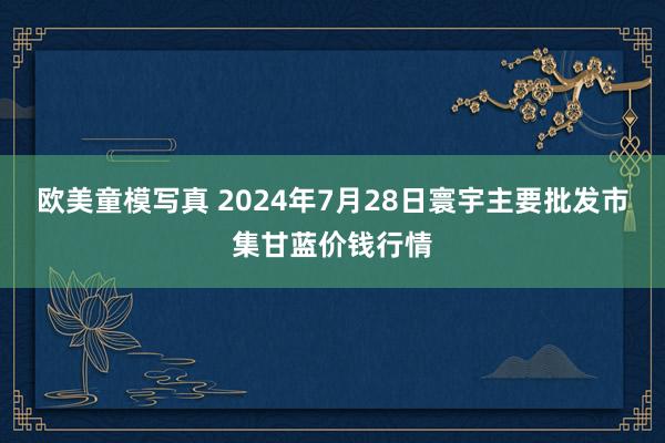 欧美童模写真 2024年7月28日寰宇主要批发市集甘蓝价钱行情