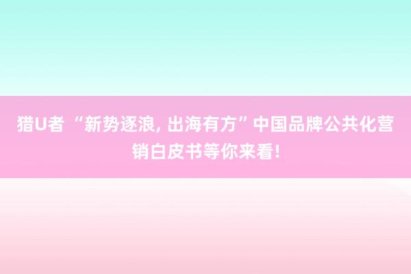 猎U者 “新势逐浪, 出海有方”中国品牌公共化营销白皮书等你来看!