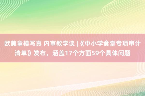 欧美童模写真 内审教学谈 |《中小学食堂专项审计清单》发布,涵盖17个方面59个具体问题
