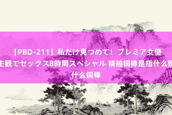 【PBD-211】私だけ見つめて！プレミア女優と主観でセックス8時間スペシャル 精抽铜棒是指什么铜棒