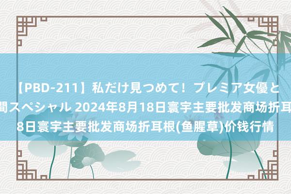 【PBD-211】私だけ見つめて！プレミア女優と主観でセックス8時間スペシャル 2024年8月18日寰宇主要批发商场折耳根(鱼腥草)价钱行情
