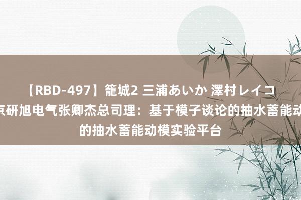 【RBD-497】籠城2 三浦あいか 澤村レイコ ASUKA 南京研旭电气张卿杰总司理：基于模子谈论的抽水蓄能动模实验平台