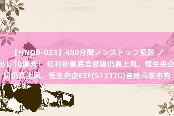 【HNDB-023】480分間ノンストップ撮影 ノーカット編集で本物中出し10連発！ 红利钞票底层逻辑仍具上风，恒生央企ETF(513170)连续高涨态势