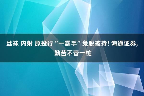 丝袜 内射 原投行“一霸手”兔脱被持! 海通证券， 勤苦不啻一桩