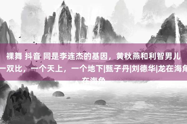 裸舞 抖音 同是李连杰的基因，黄秋燕和利智男儿一双比，一个天上，一个地下|甄子丹|刘德华|龙在海角