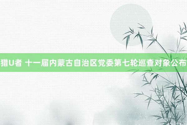 猎U者 十一届内蒙古自治区党委第七轮巡查对象公布