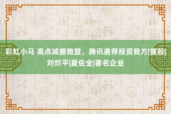 彩虹小马 高点减握微盟，腾讯遴荐投资我方|握股|刘炽平|夏佐全|著名企业