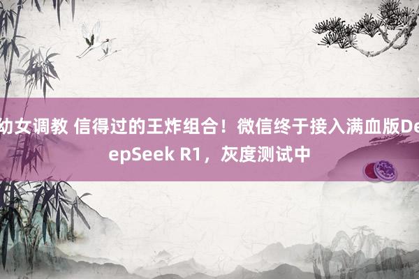 幼女调教 信得过的王炸组合！微信终于接入满血版DeepSeek R1，灰度测试中