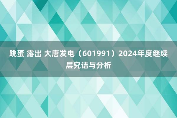跳蛋 露出 大唐发电（601991）2024年度继续层究诘与分析