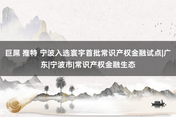 巨屌 推特 宁波入选寰宇首批常识产权金融试点|广东|宁波市|常识产权金融生态