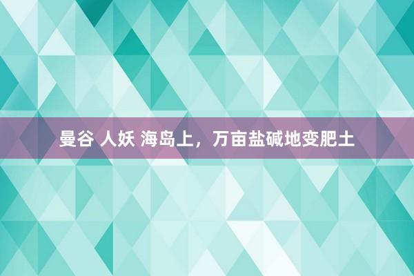 曼谷 人妖 海岛上，万亩盐碱地变肥土