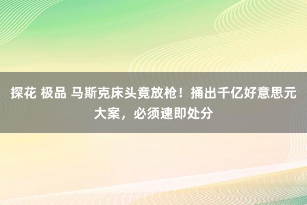 探花 极品 马斯克床头竟放枪！捅出千亿好意思元大案，必须速即处分