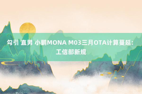 勾引 直男 小鹏MONA M03三月OTA计算蔓延: 工信部新规