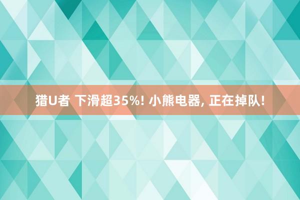 猎U者 下滑超35%! 小熊电器， 正在掉队!